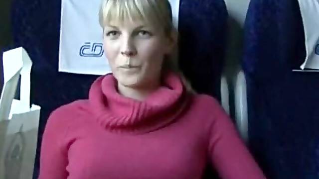 Fuck in the train